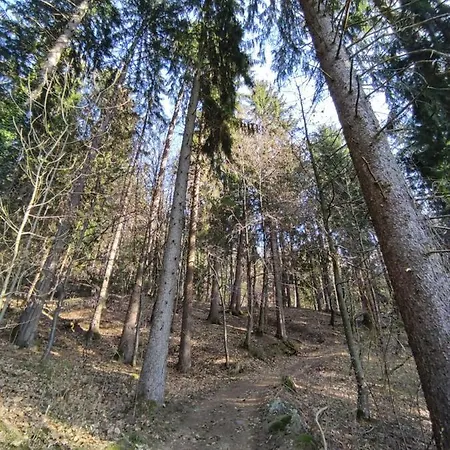 Prünsterhof *