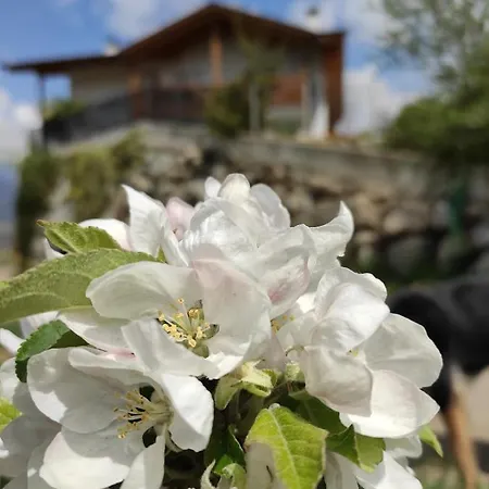 Prünsterhof